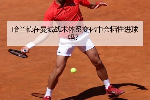 ha-lan-de-zai-man-cheng-zhan-shu-ti-xi-bian-hua-zhong-hui-xi-sheng-jin-qiu-ma-3-845.jpg