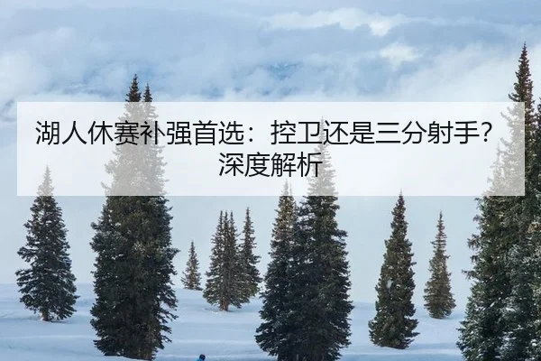 湖人休赛补强首选：控卫还是三分射手？深度解析