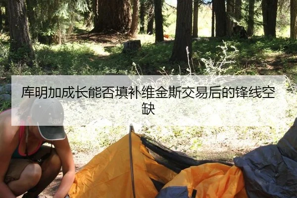 库明加成长能否填补维金斯交易后的锋线空缺