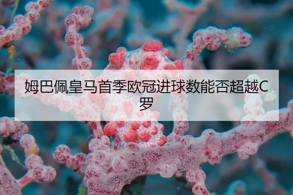姆巴佩皇马首季欧冠进球数能否超越C罗