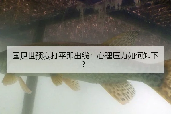 国足世预赛打平即出线：心理压力如何卸下？